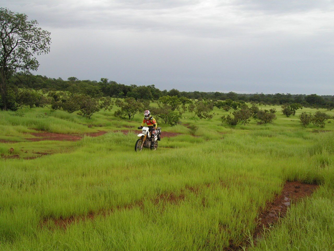 En moto por Niokolo Koba